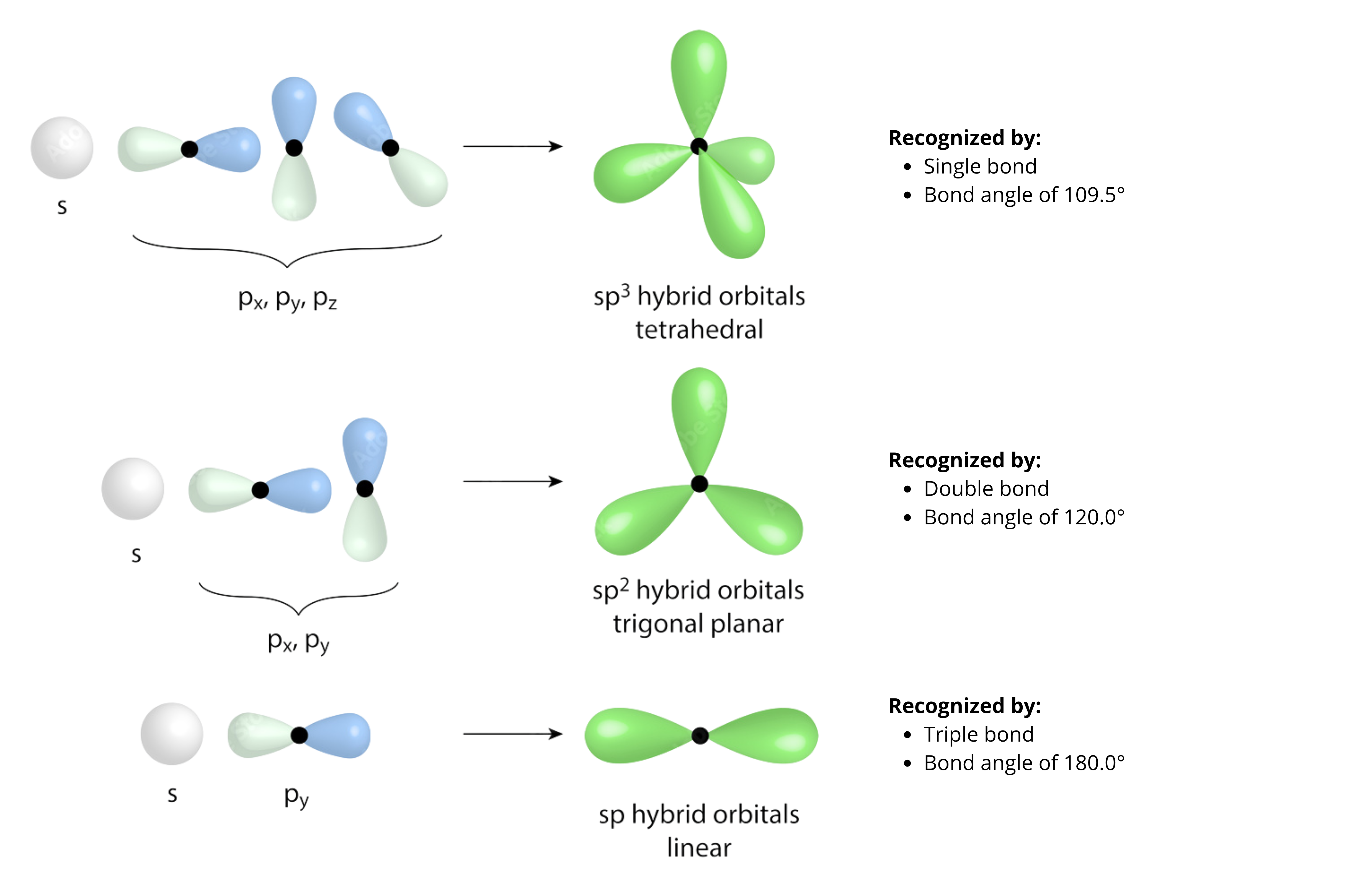 Hybrization of orbitals