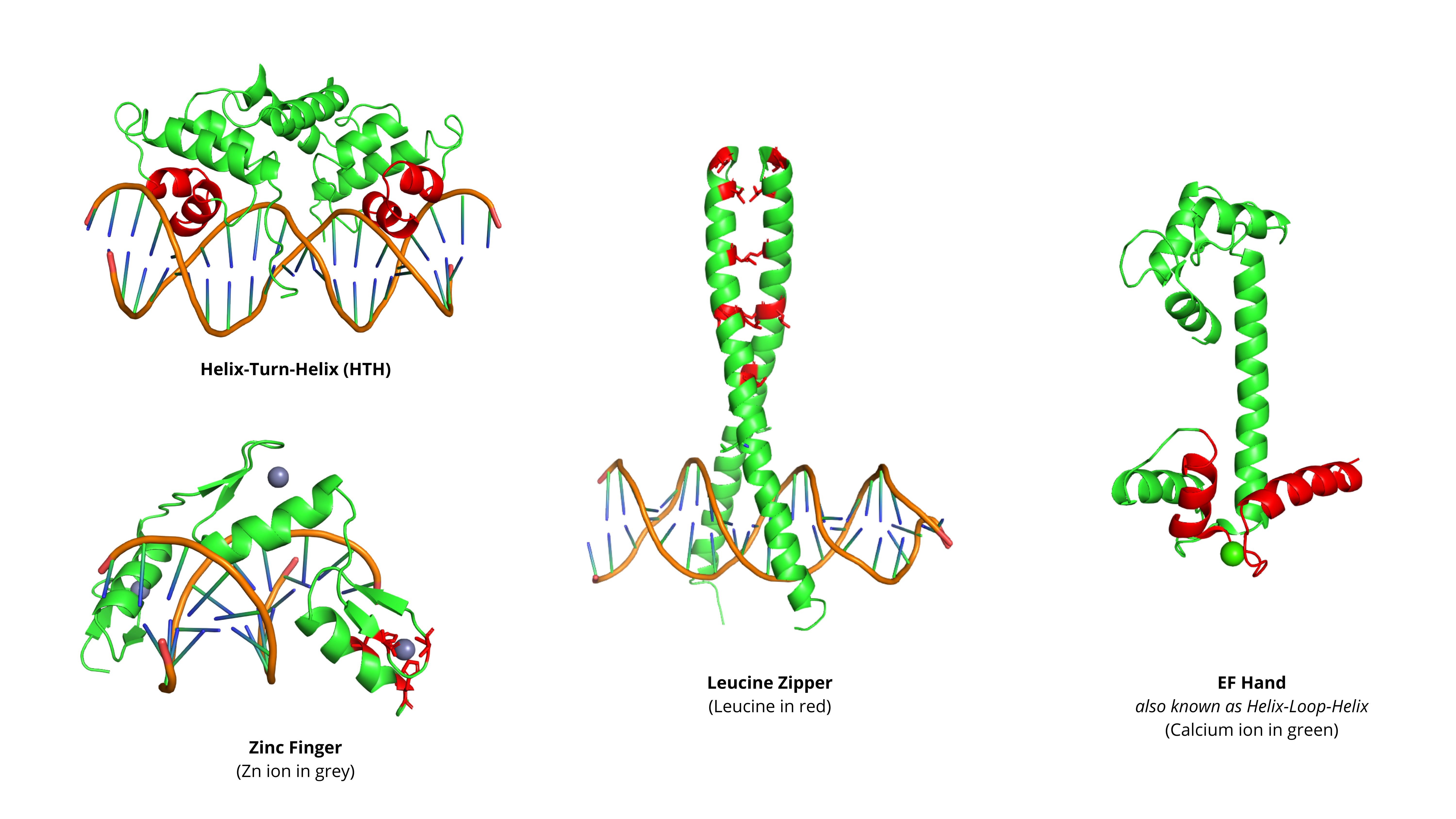 Different structure motifs