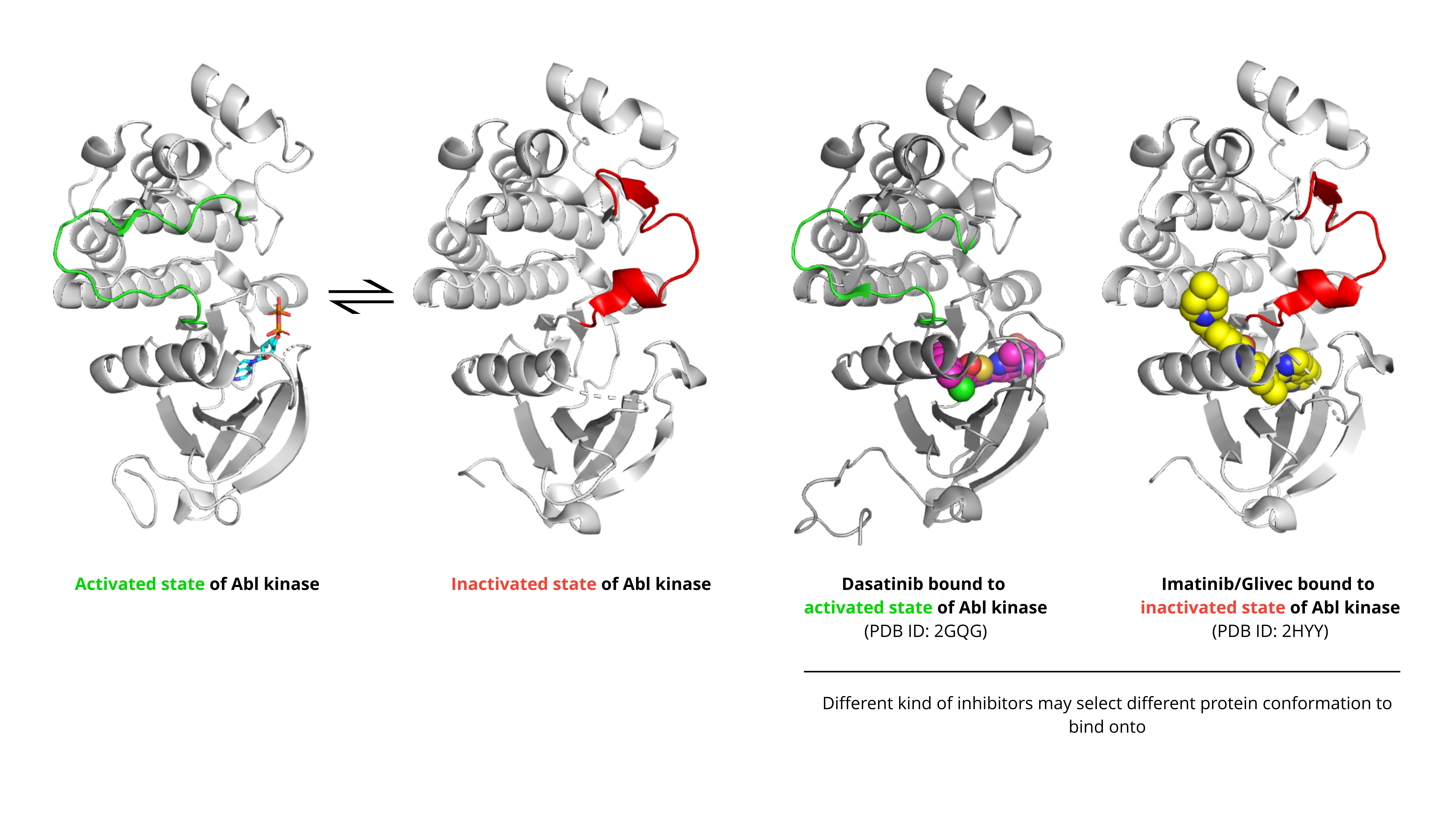 Abl kinase conformations